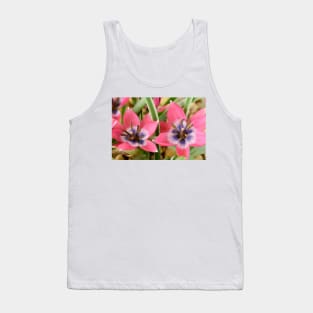 Tulipa  &#39;Little Beauty&#39;  AGM  Tulip  Miscellaneous tulip Tank Top